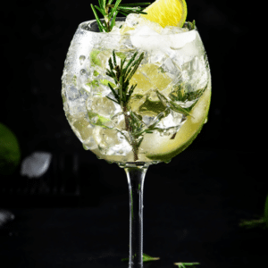 A classic Gin and Tonic cocktail served in a tall glass with ice cubes